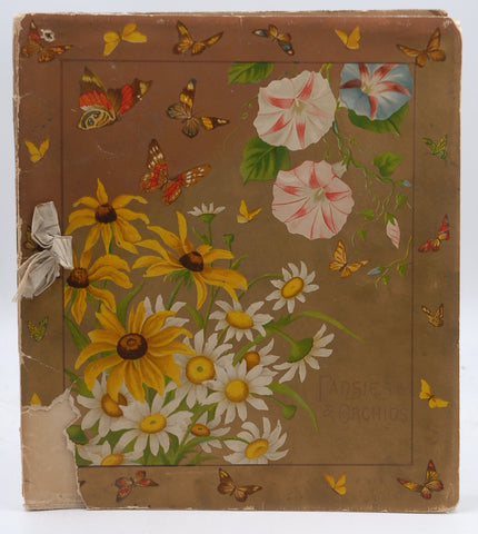 Pansies & Orchids, by Susie B Skelding  